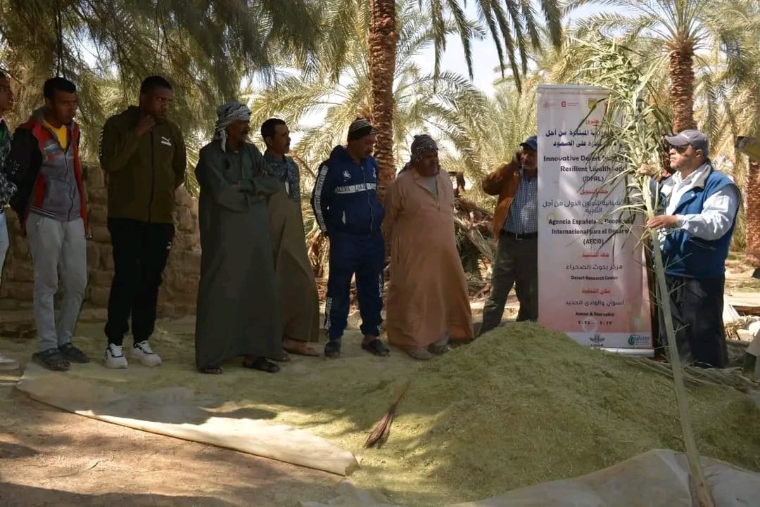 الوادى الجديد تنتج 67 الف طن مخلفات سنويا الوادى الجديد تنتج 67 الف طن مخلفات سنويا