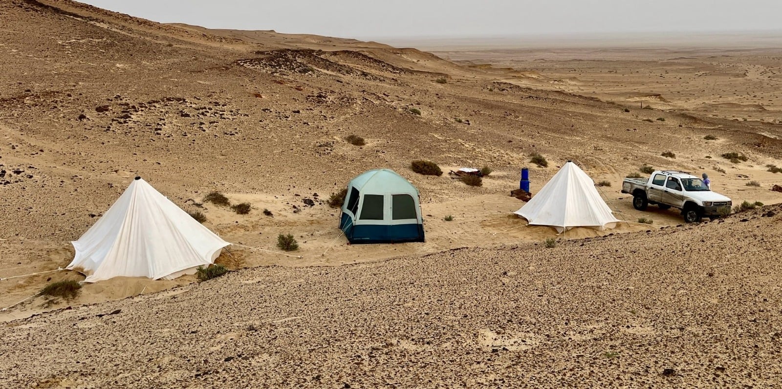 WhatsApp Image 2026-04-05 at 4.48.09 PM (1)