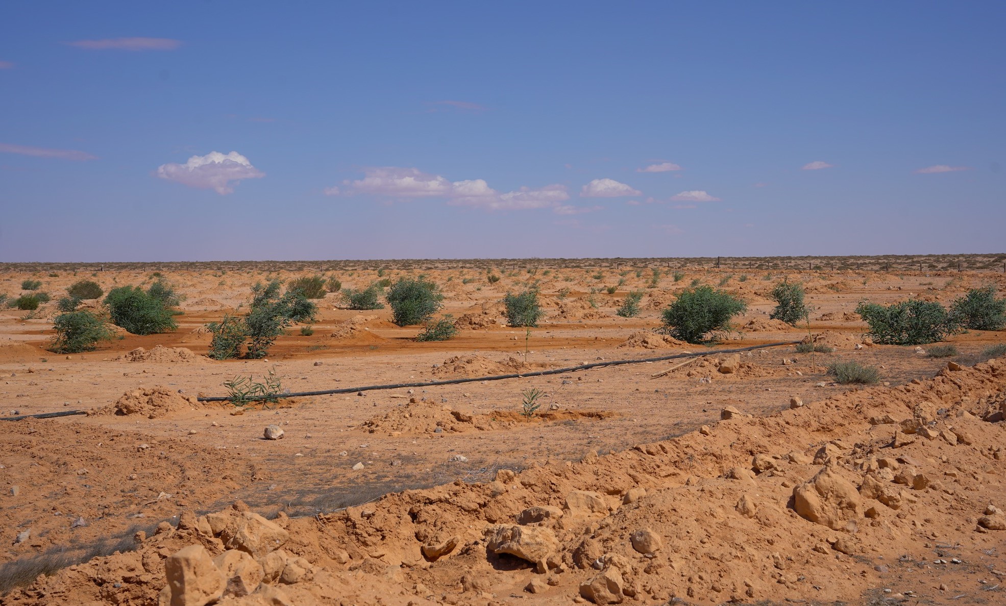 التوسع في استصلاح الاراضي وحصاد الامطار