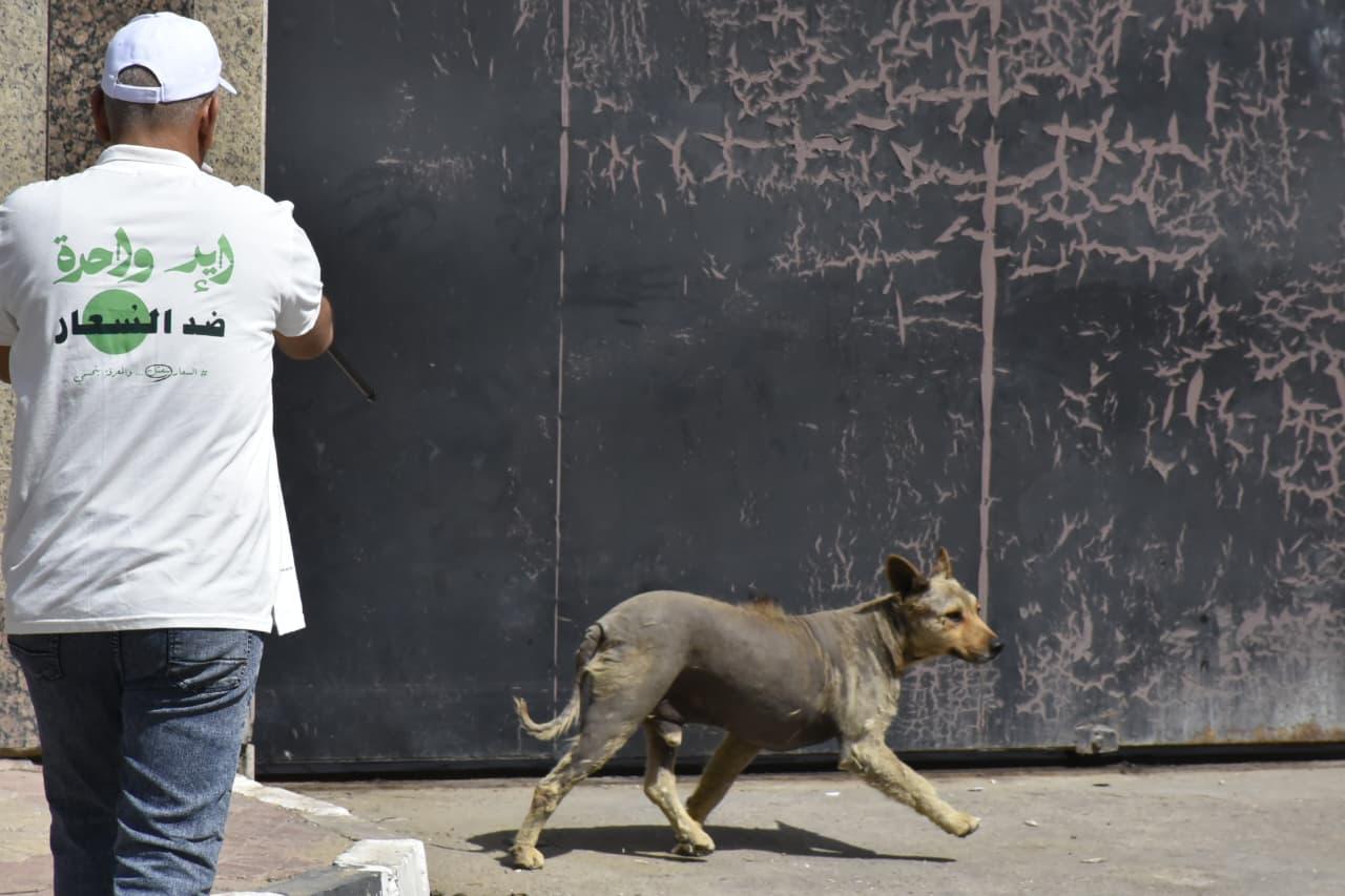 ايد واحدة ضد السعار ايد واحدة ضد السعار