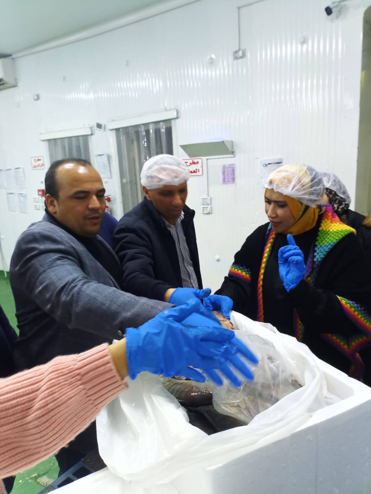 الحملة البيطرية والتموينية