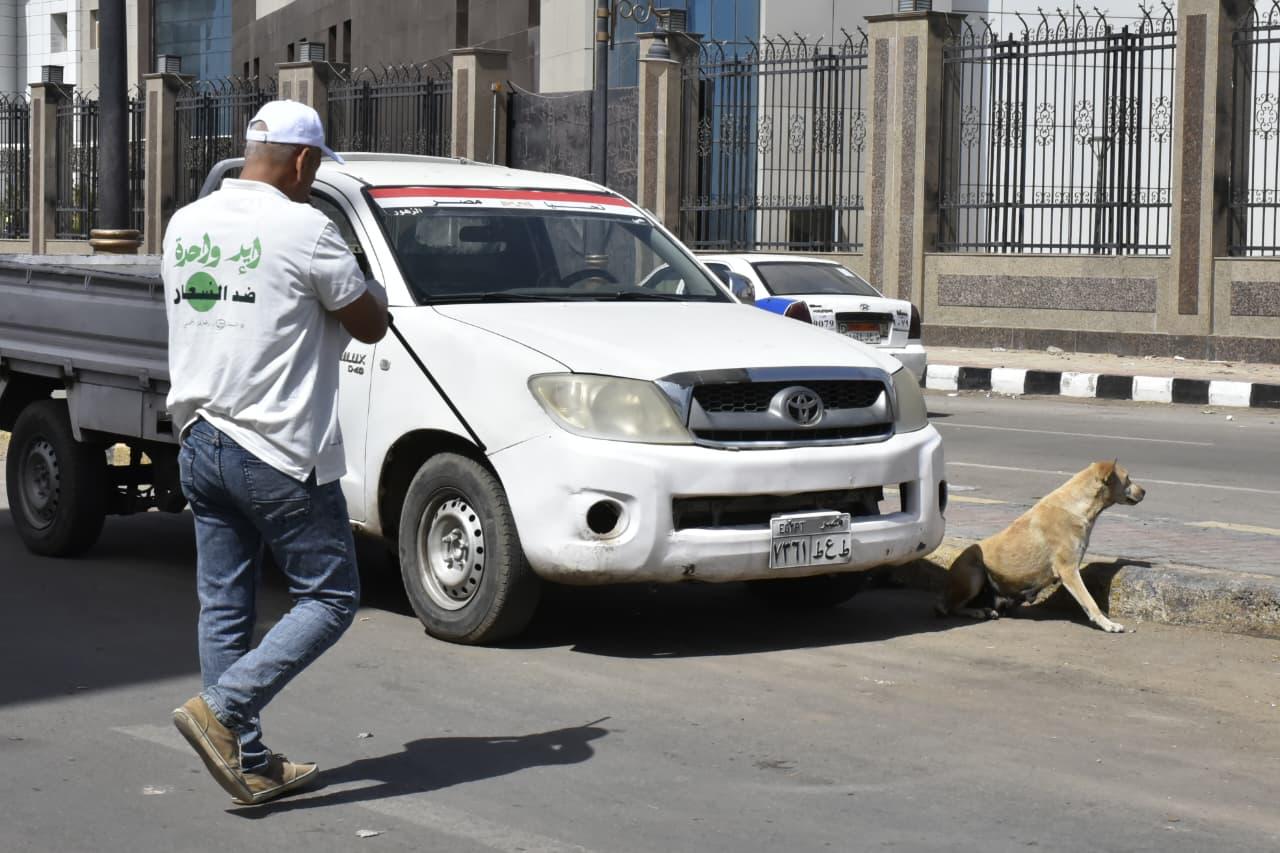 التحصين ل الكلاب ببورسعيد التحصين ل الكلاب ببورسعيد