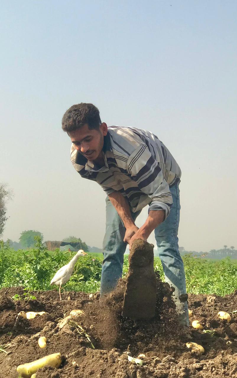 كفاح العمال بالبدرشين