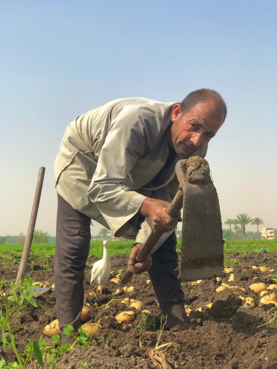 عمال اليومية بالبدرشين