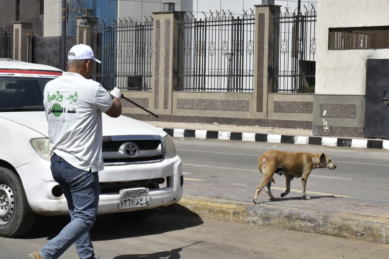 تحصين كلاب بورسعيد تحصين كلاب بورسعيد