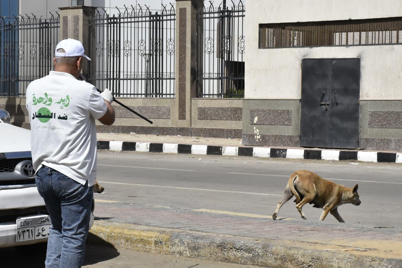التحصين ل الكلاب التحصين ل الكلاب