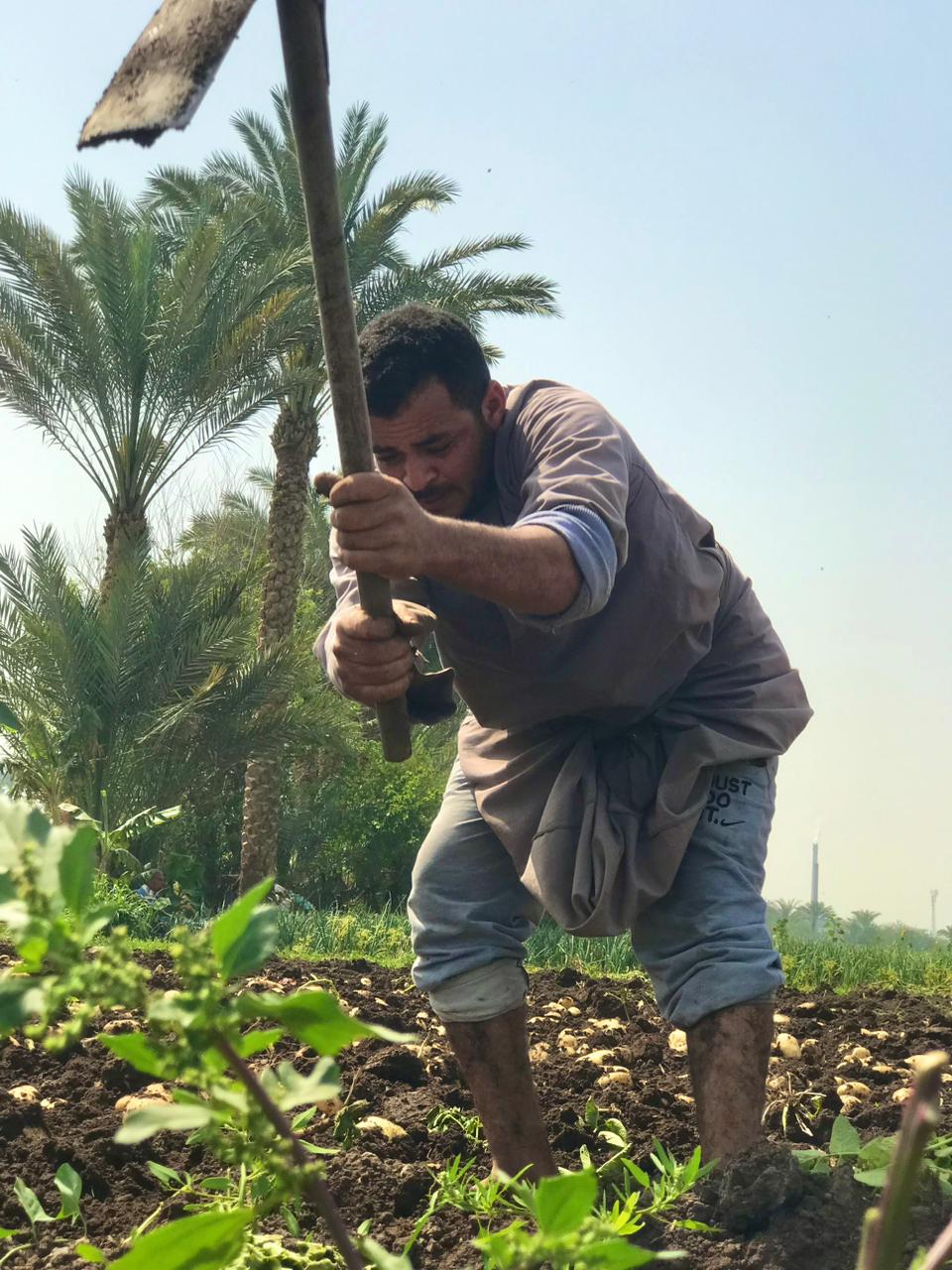 كفاح عمال اليومية (2)