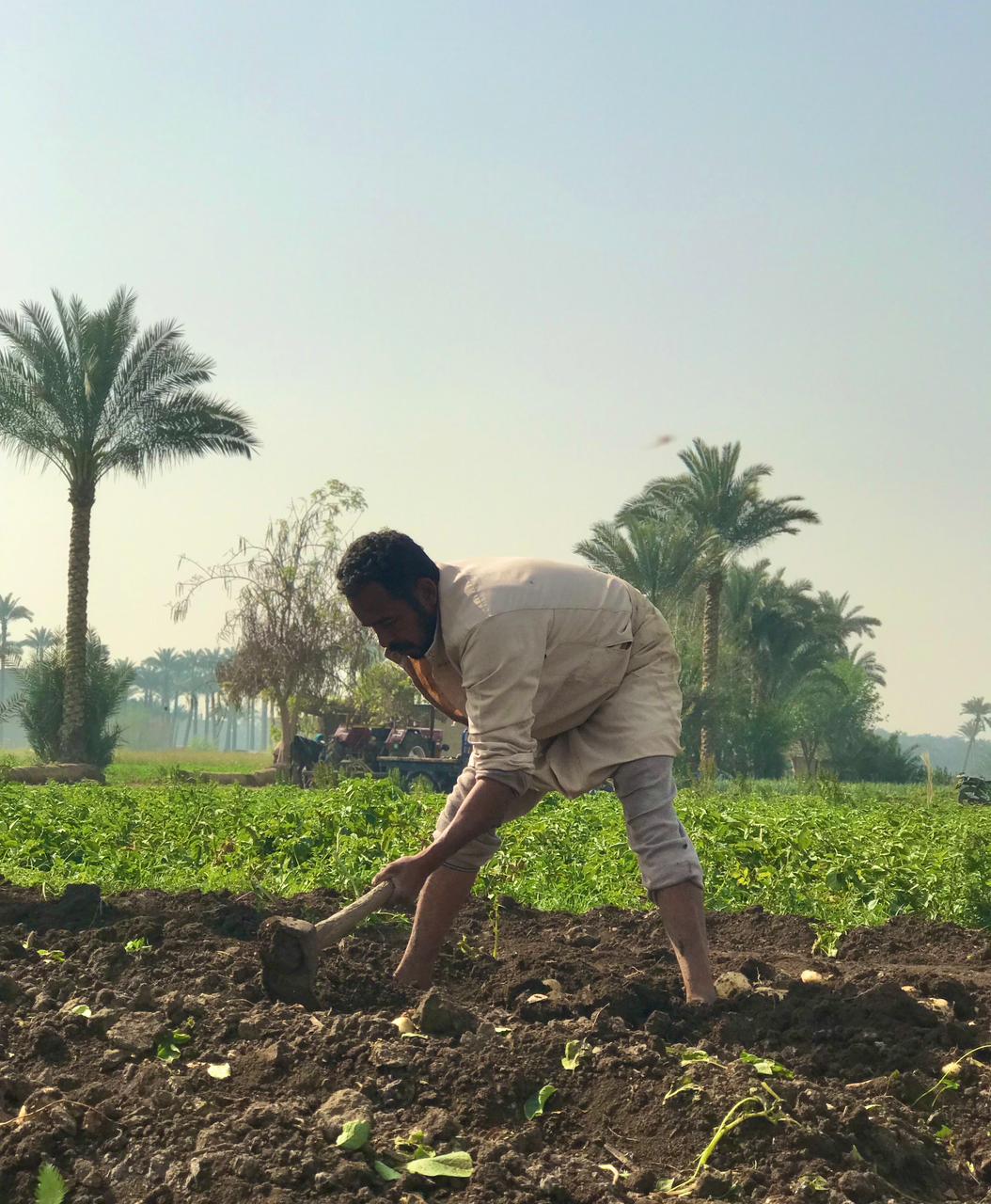 كفاح من أجل لقمة العيش (2)