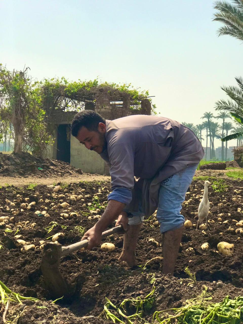 شقاء العمال