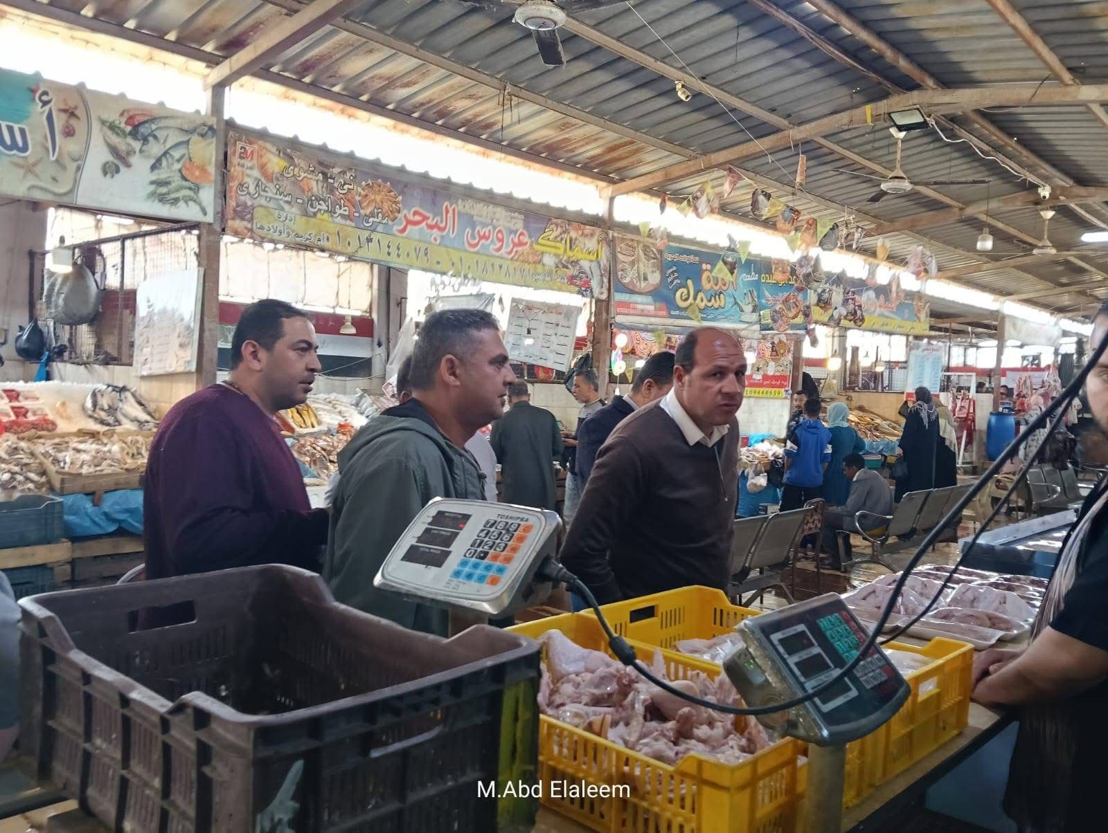 خلال الجولة