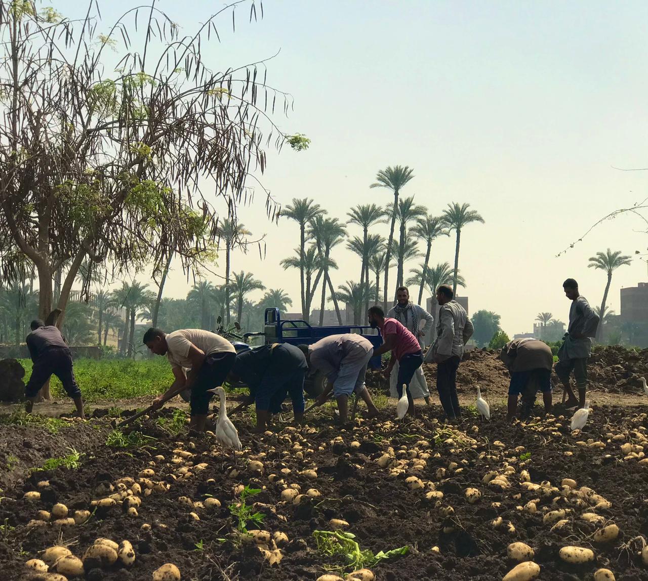 شقاء العاملين