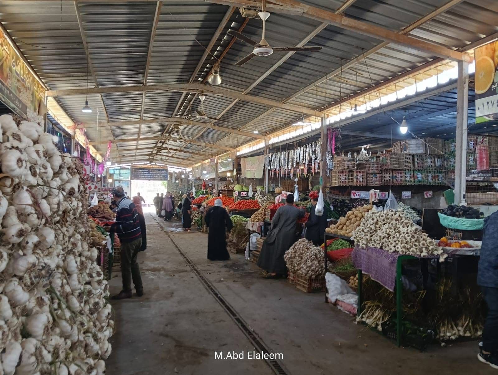 داخل الباكيات