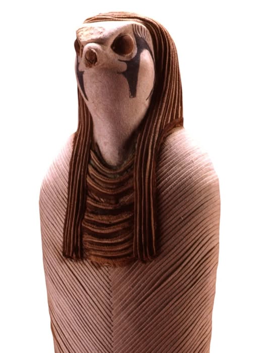 ممومياوات الصقور