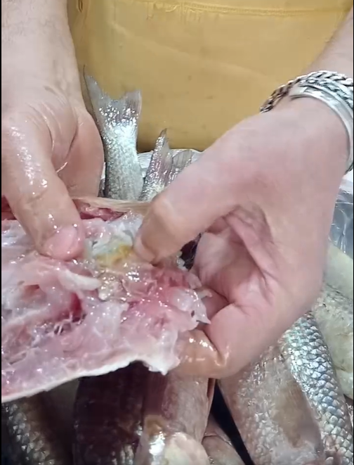 تميز فسيخ كفر الشيخ بلونه الوردي