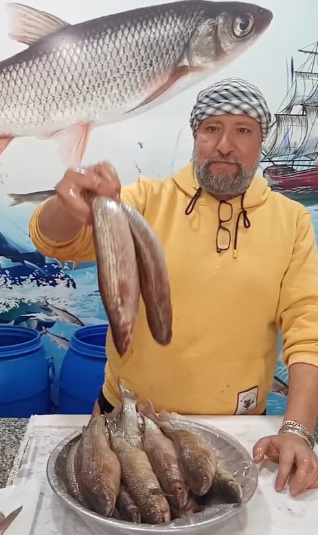 تميز فسيخ كفر الشيخ