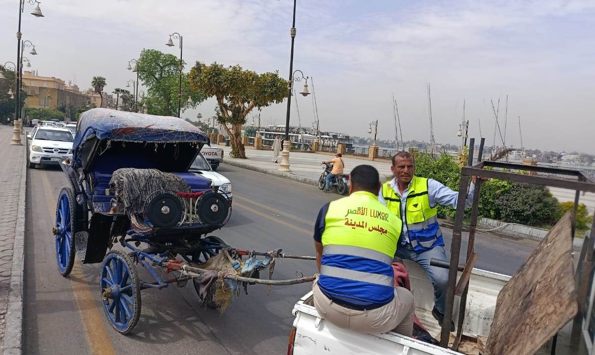 محافظ الأقصر يضبط عربة حنطور مخالفة خلال جولة صباحية