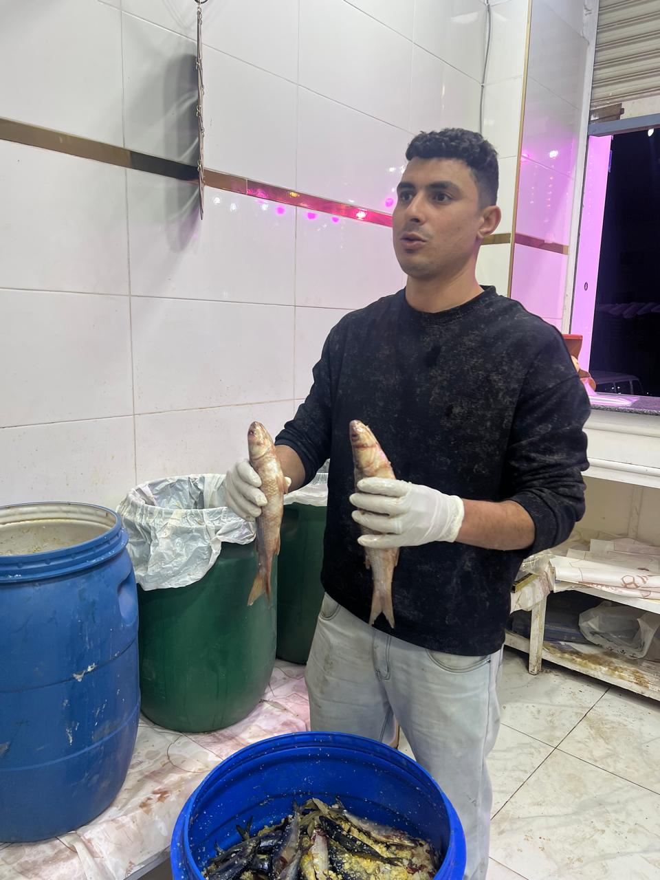 فسيخ حجم وسط