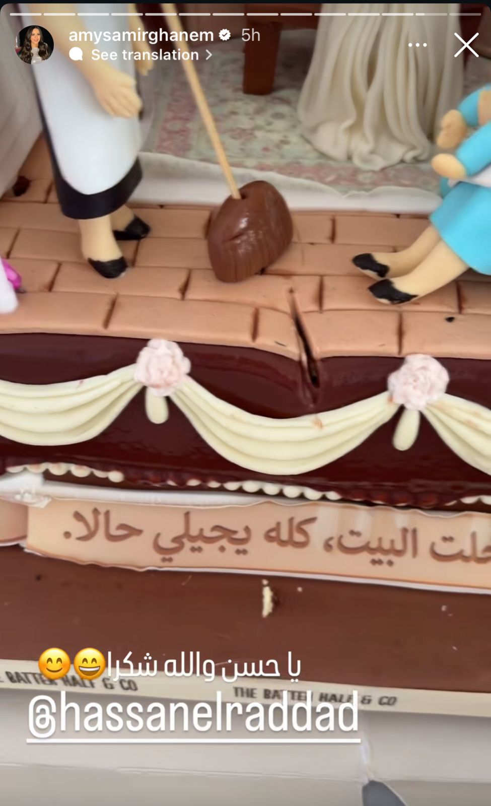 ايمي سمير غانم 