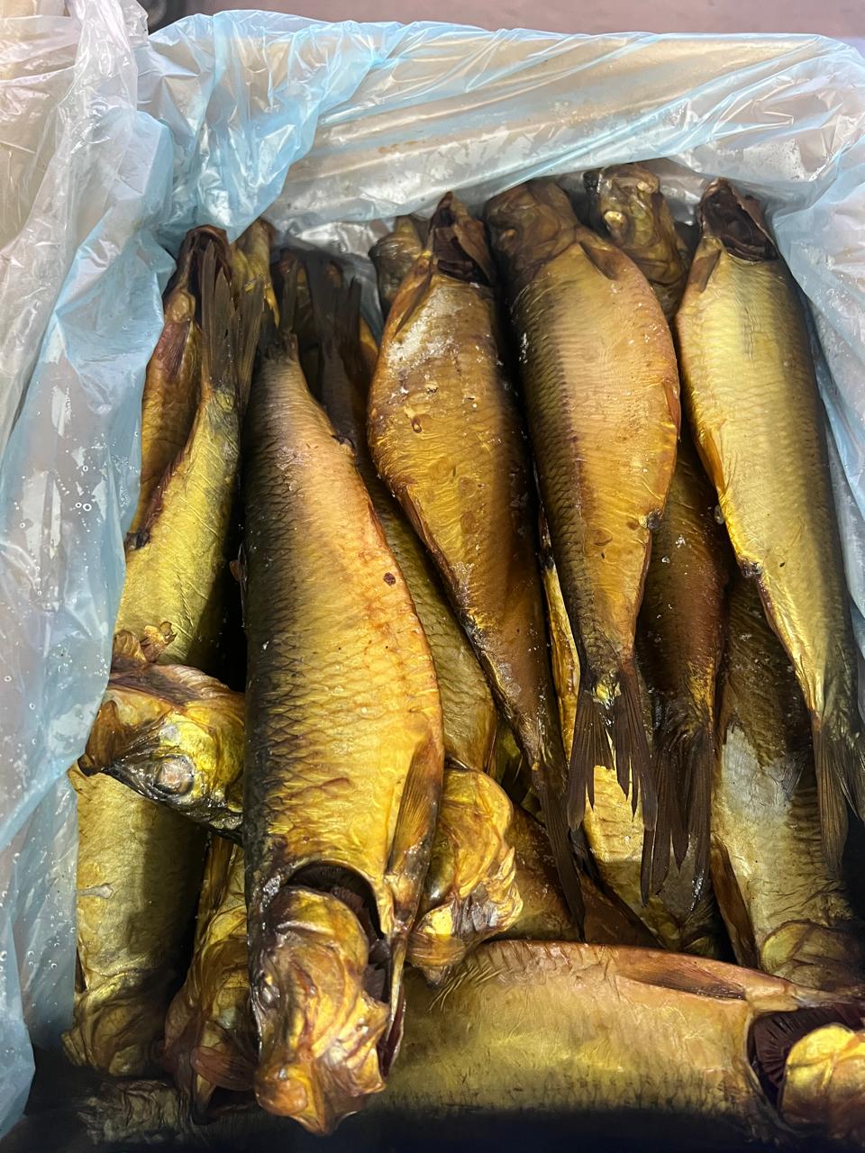 رنجة