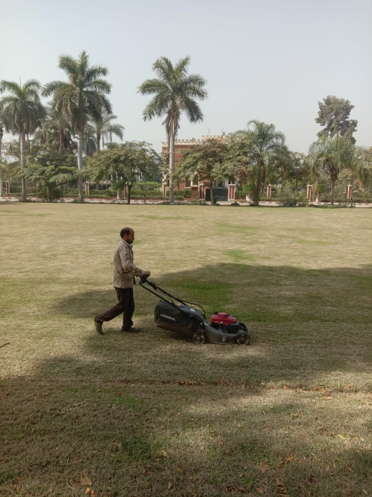 صيانة الحدائق_2