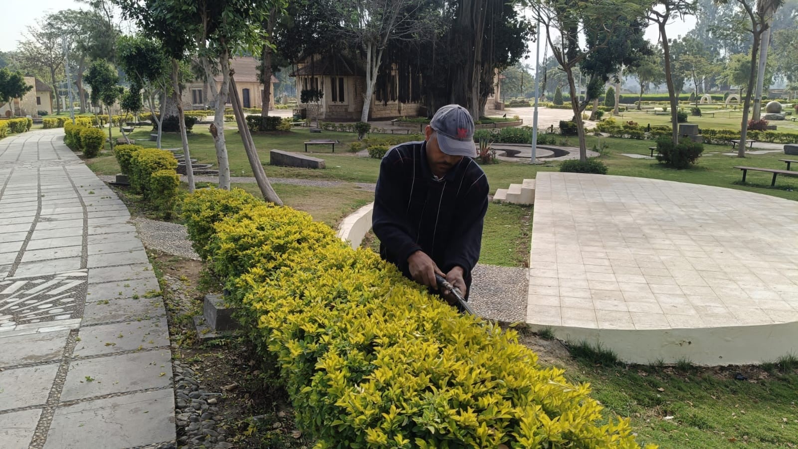 تهذيب الأشحار_1