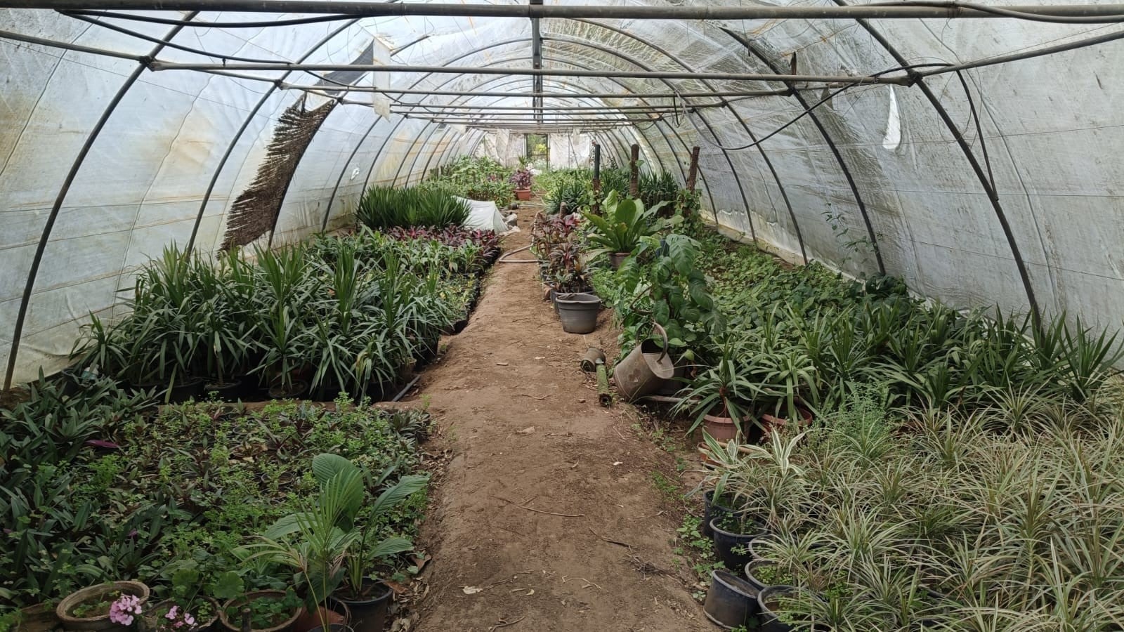 مشتل الحدائق_1