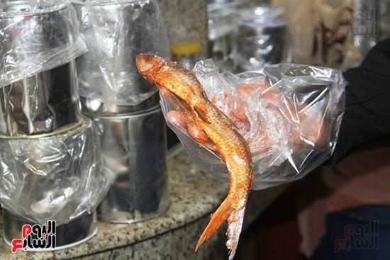 أسماك-مملحة أسماك-مملحة