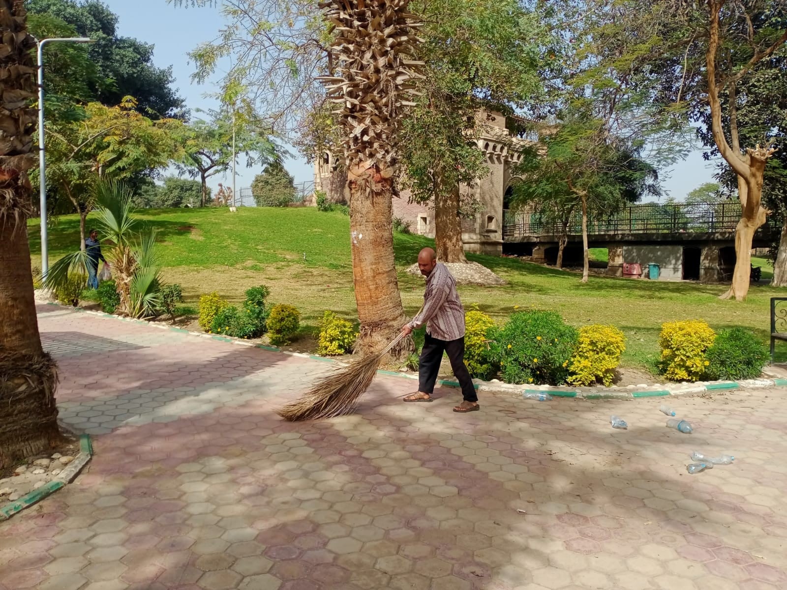 جمال الحدائق