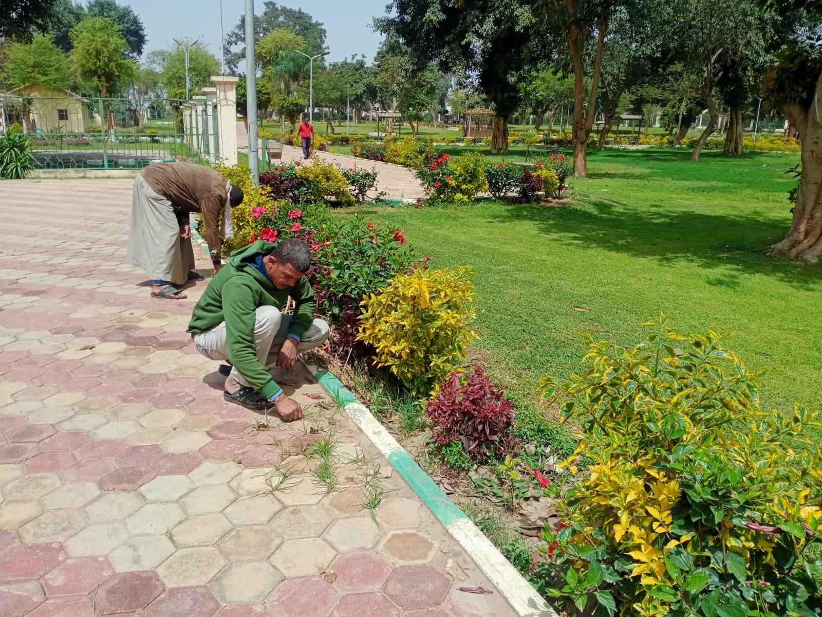 حدائق القناطر تتألق