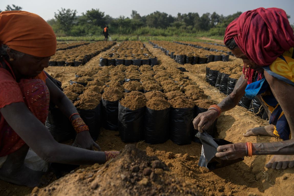 التحول للأخضر.. الهند تحول المناجم القديمة إلى حدائق ومتنزهات (5)