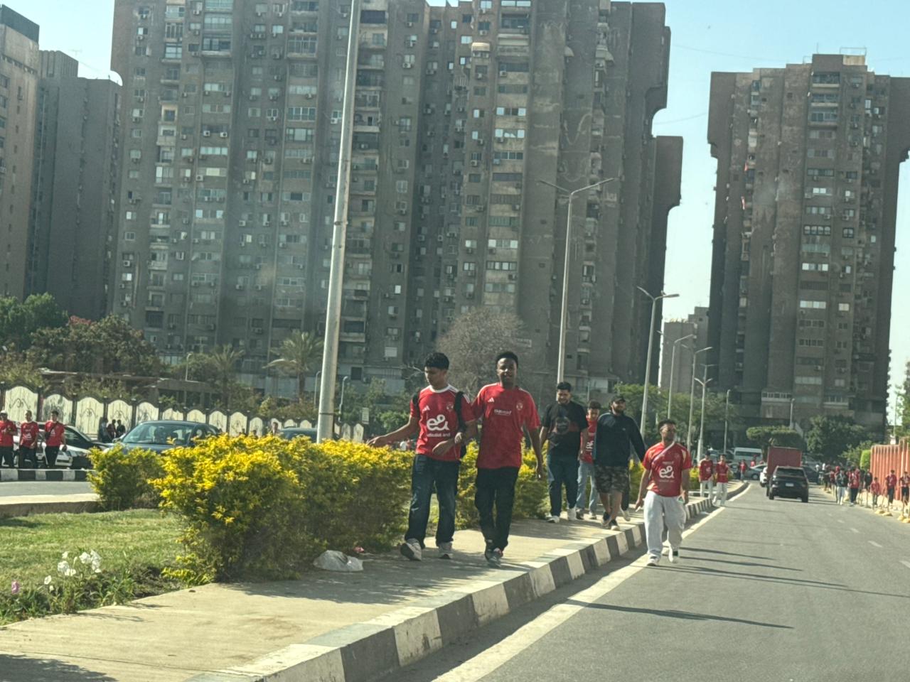 جمهور الاهلى