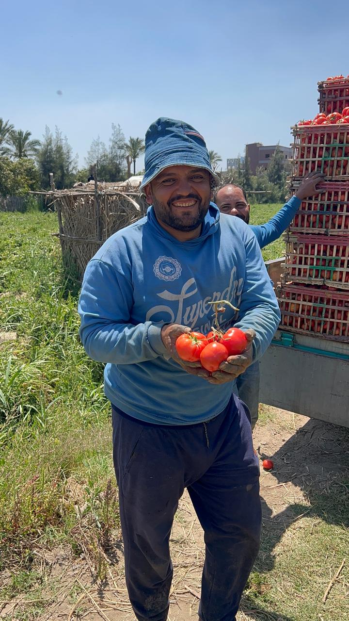 محصول مميز من الأراضي الزراعية