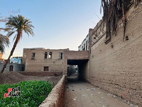 طريق-أبراج-حمام-بقنا