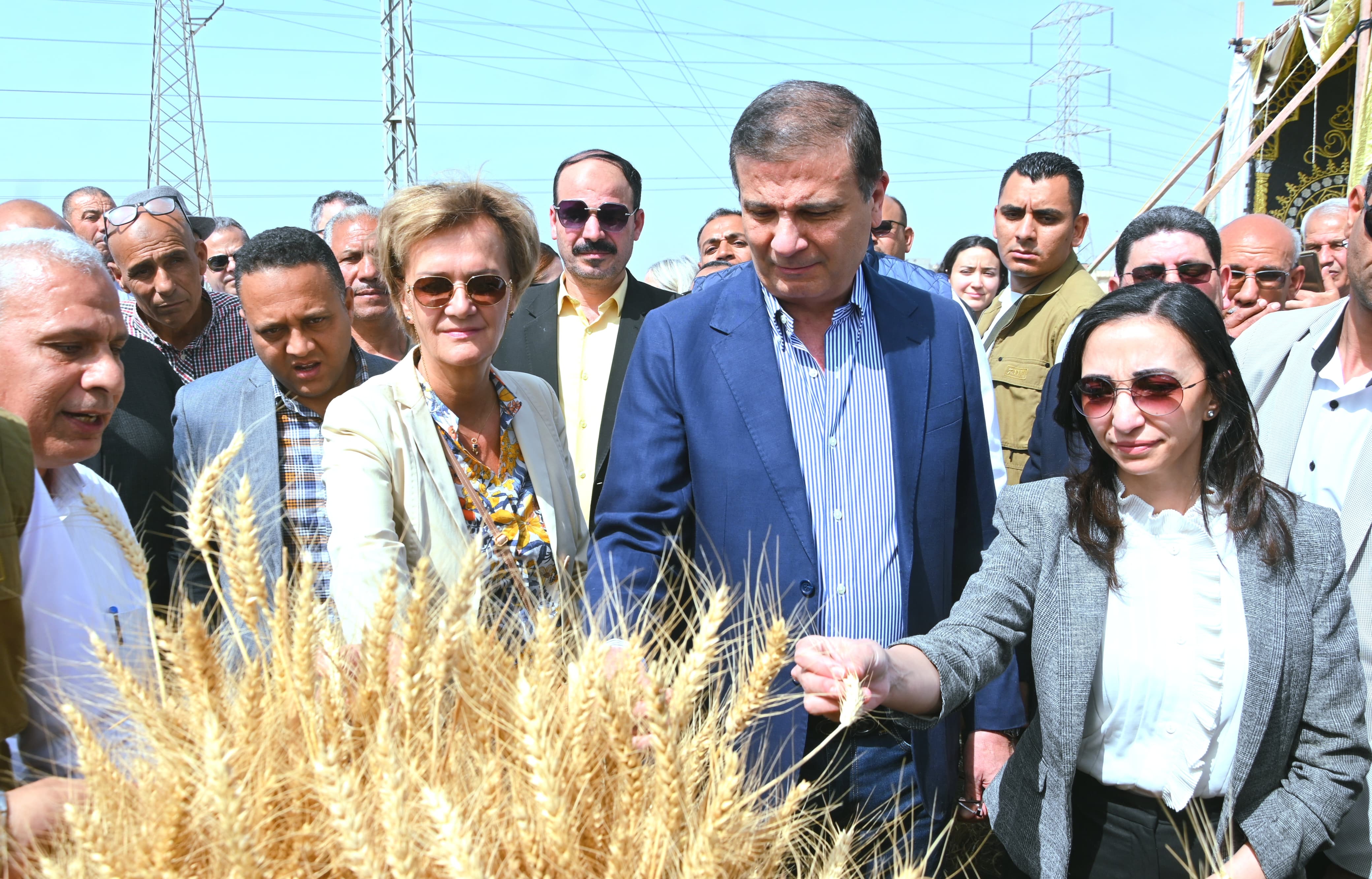 وزير الزراعة خلال احتفال حصاد القمح