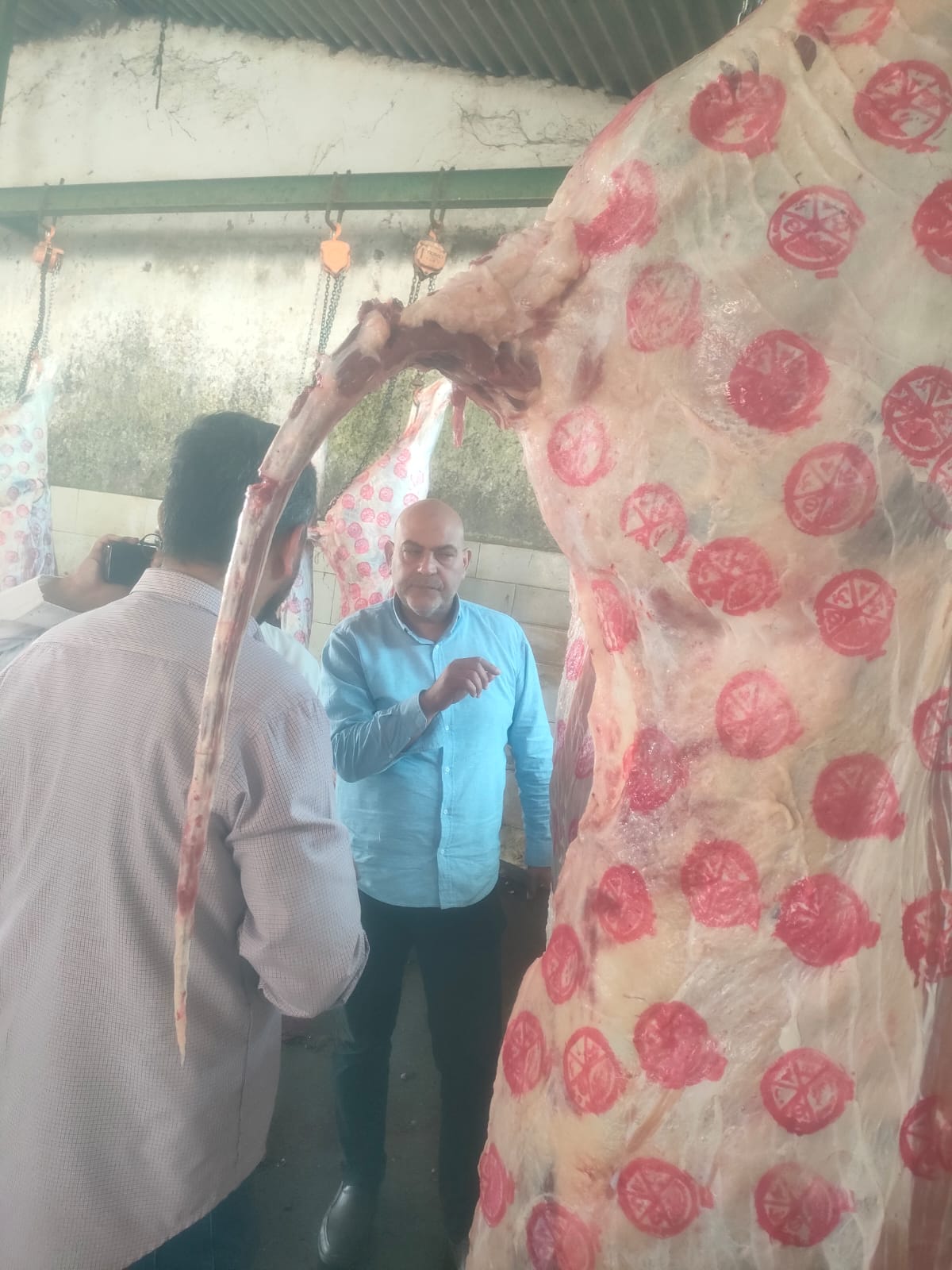 خلال تكثيف الحملات