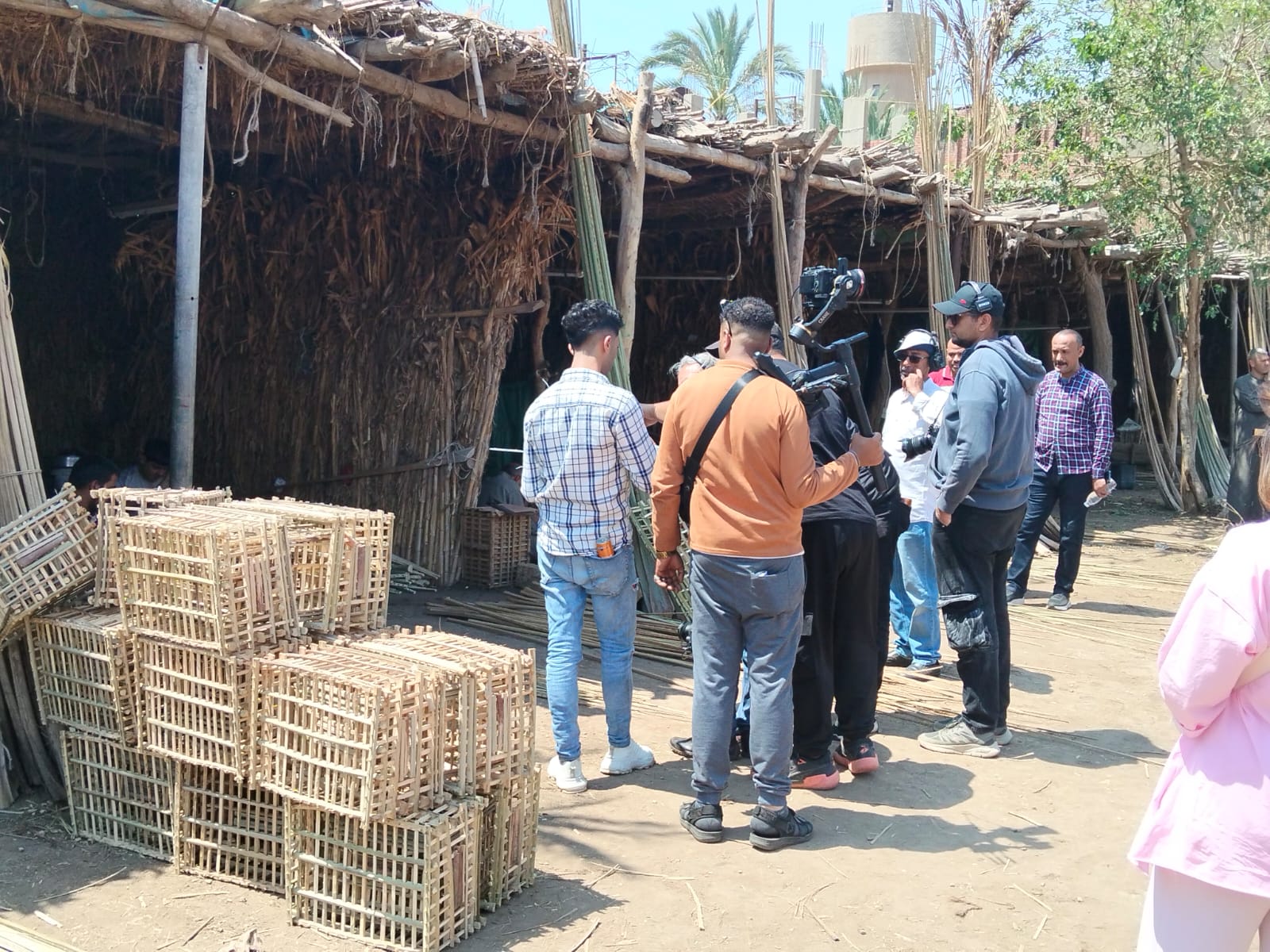 تصوير أقفاص الجريد تصوير أقفاص الجريد