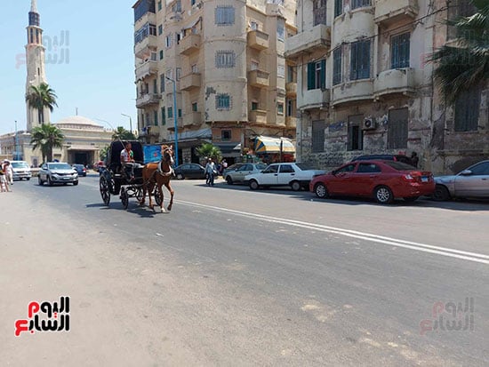 الحنطور-فى-شوارع-بحرى