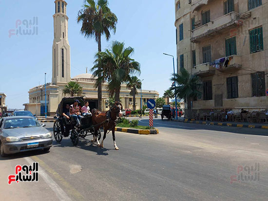 نزهه-صيفية-بالحنطور