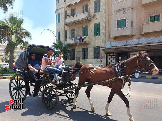 المصطافين-يستمتعون-بركوب-الحنطور