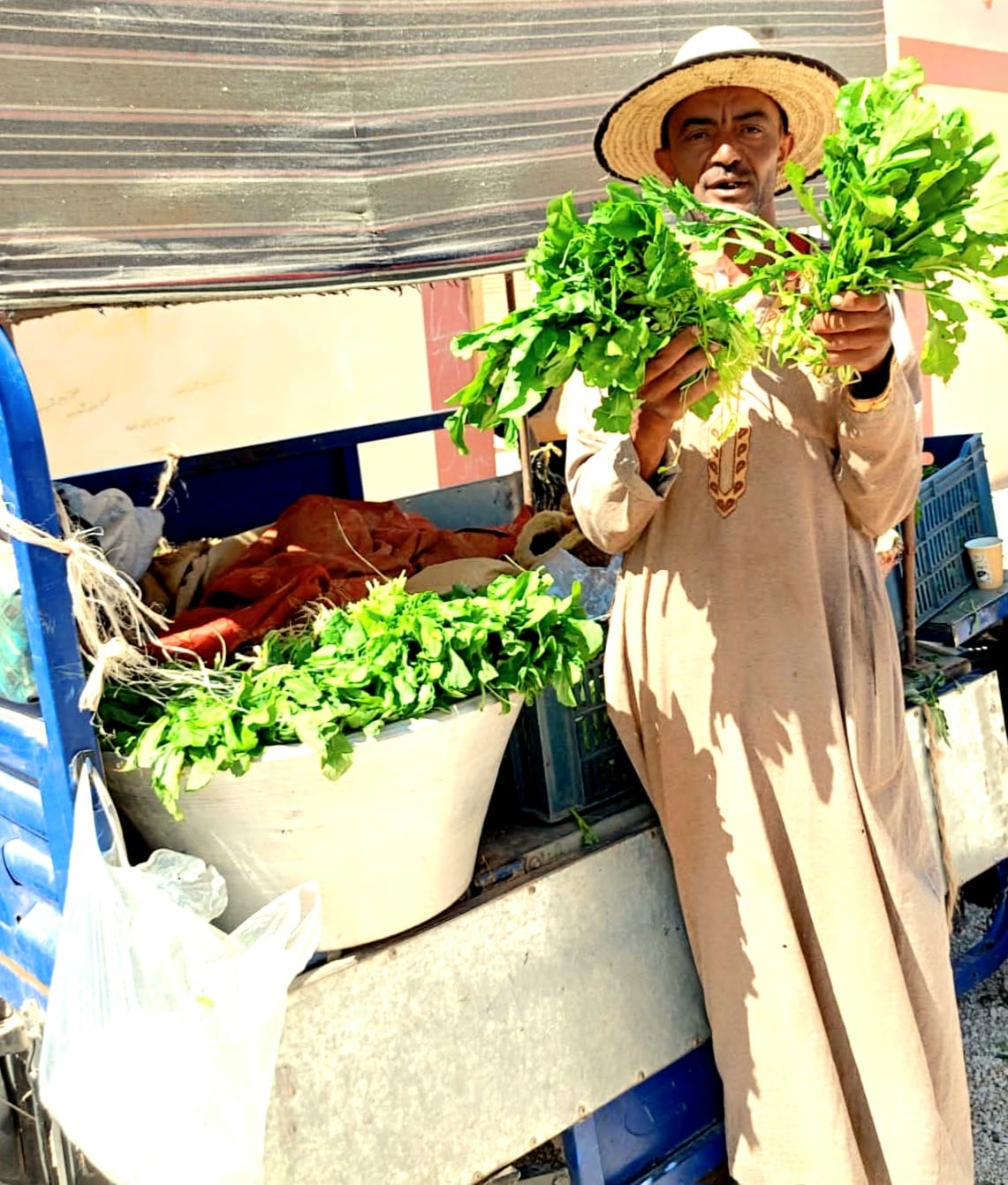 احد المزارعين يعرض منتجاته من الخضروات