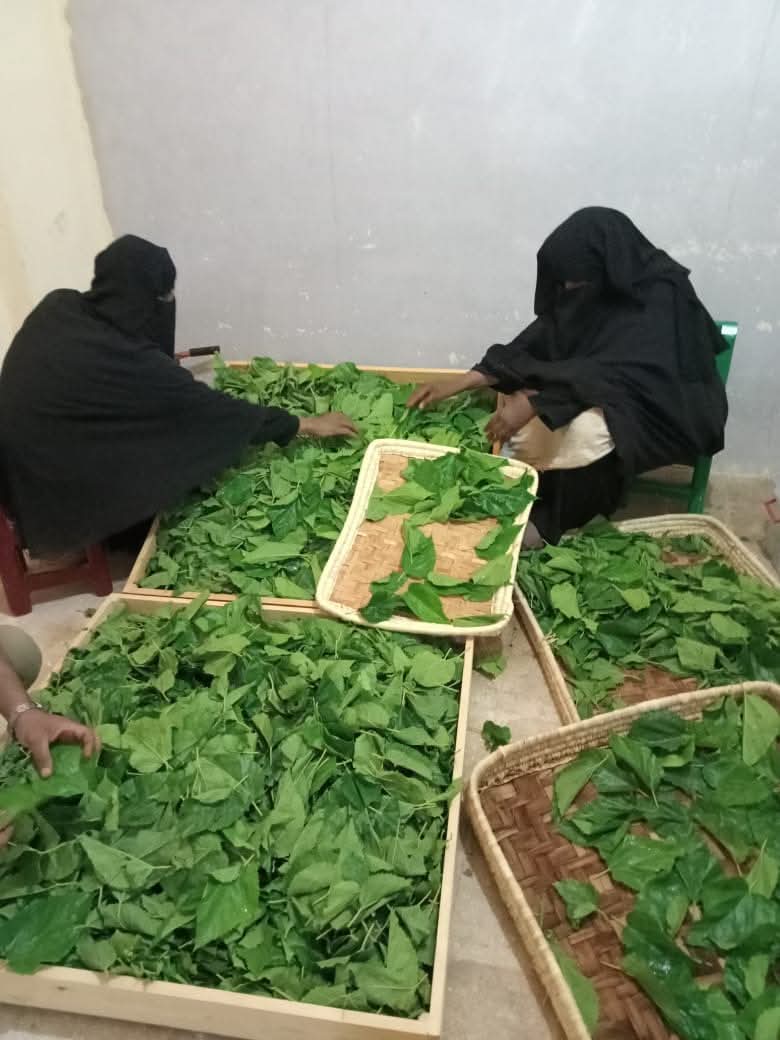 احد معامل الانتاج بمركز بلاط