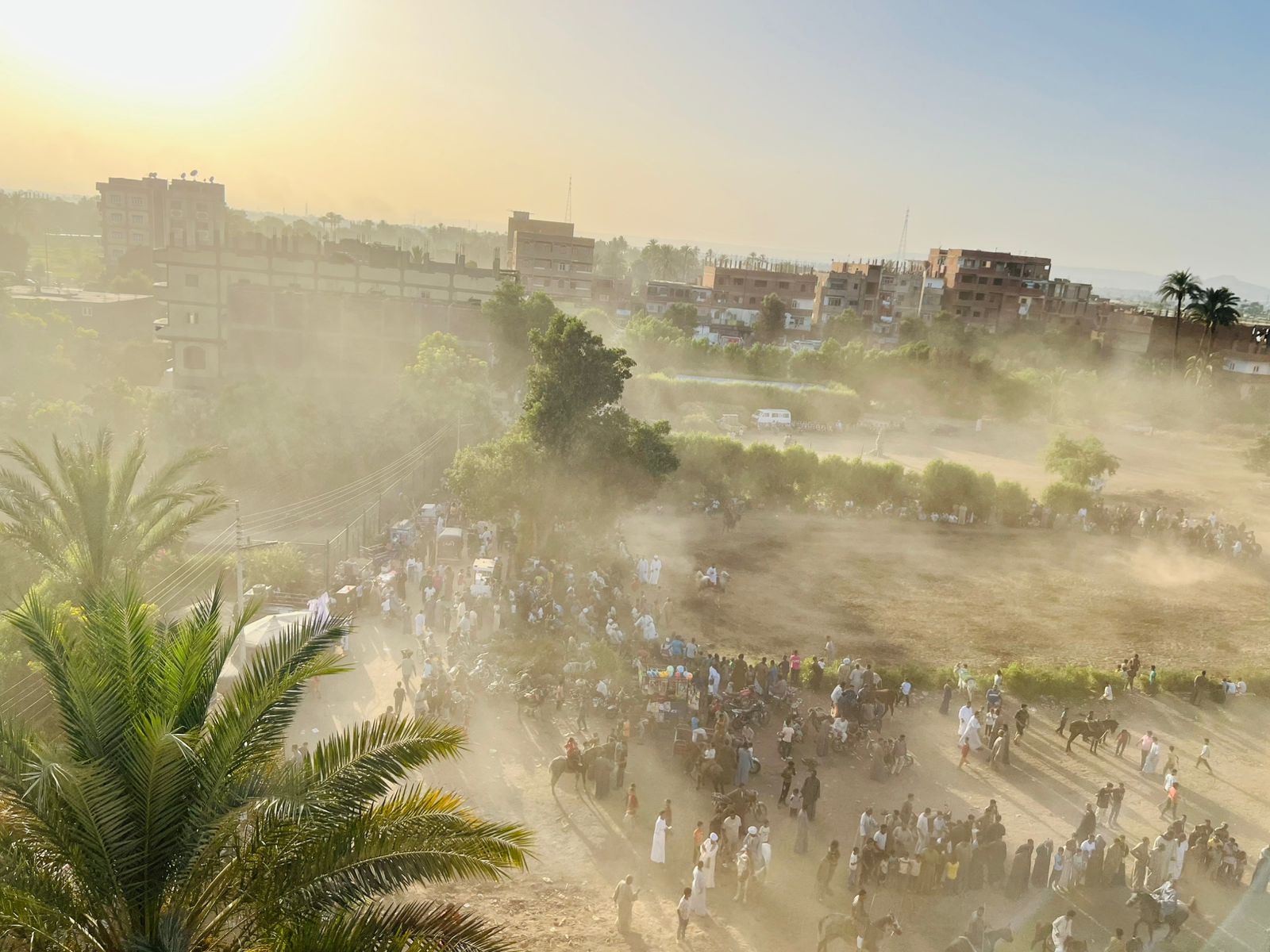 مولد حسن أبو عامر بقنا
