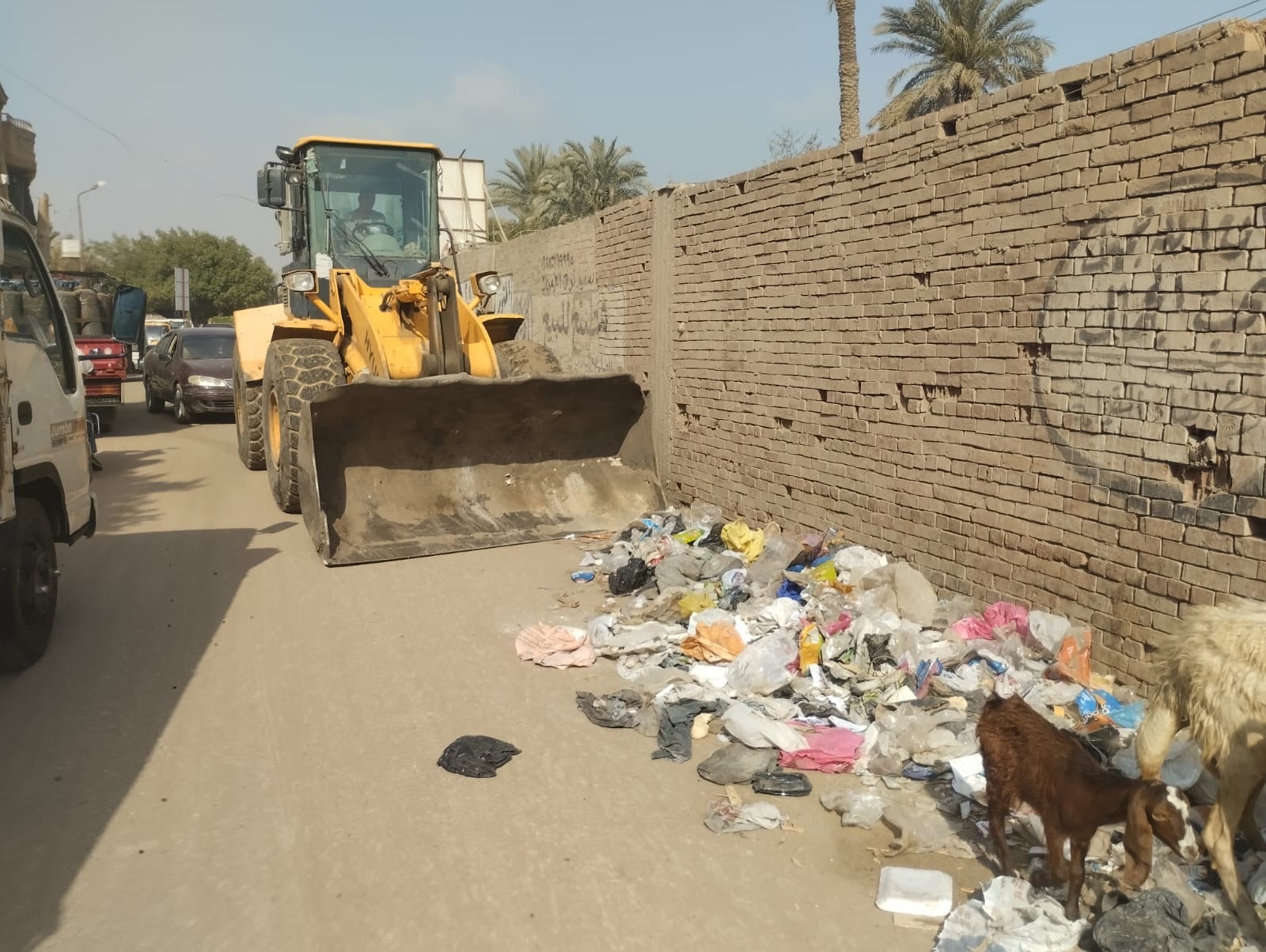 رفع 180 طن مخلفات خلال حملات مكثفة (3)