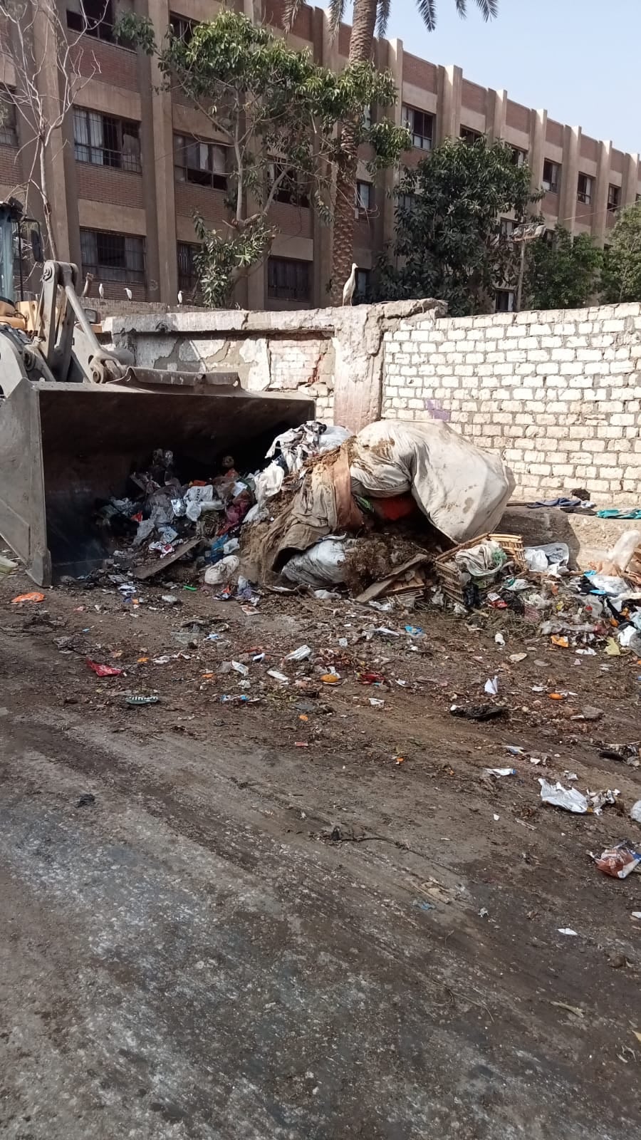 رفع 180 طن مخلفات خلال حملات مكثفة (1)