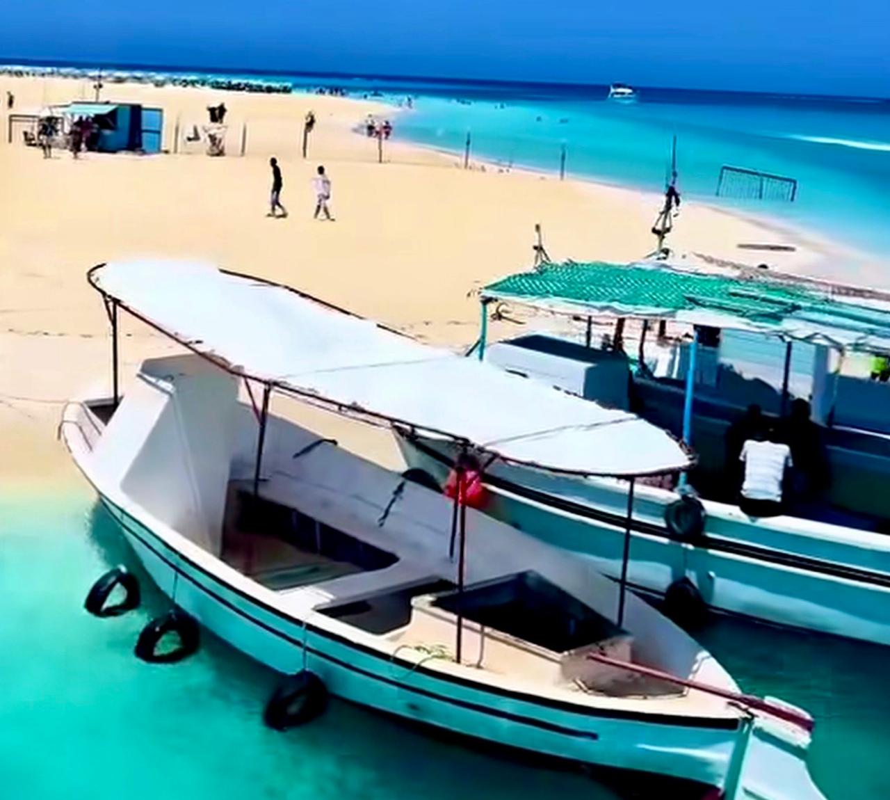 شاطئ الغرام (17)