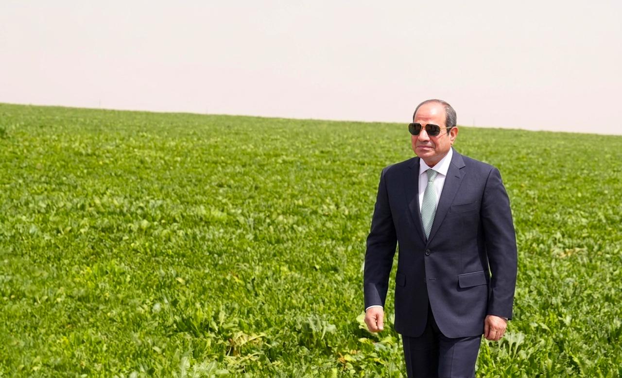 مشروع الدلتا الجديدة (2)