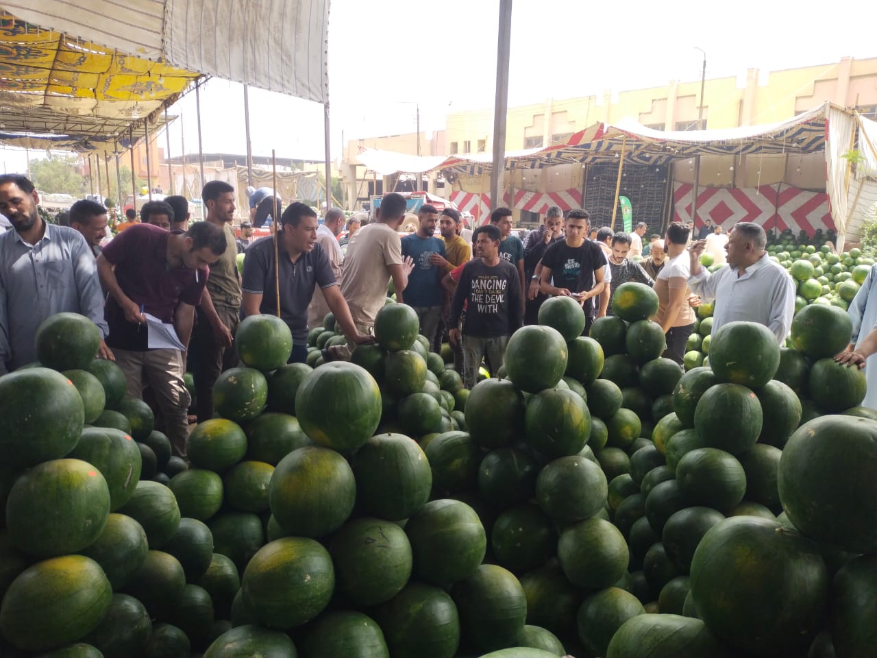 سوق الجملة ببنها سوق الجملة ببنها