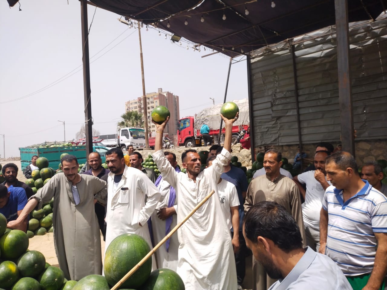 الكل فرحان بالبطيخ الكل فرحان بالبطيخ