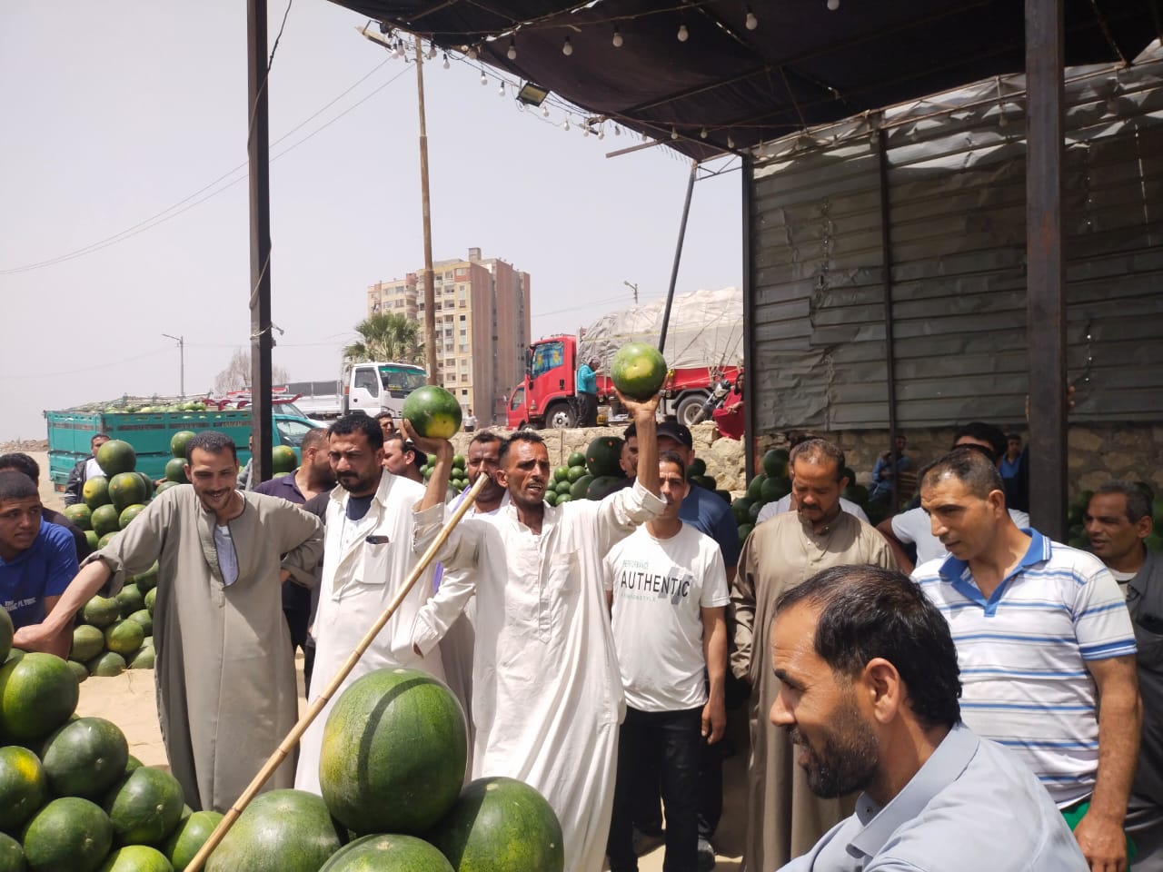 مزاد البطيخ_1 مزاد البطيخ_1