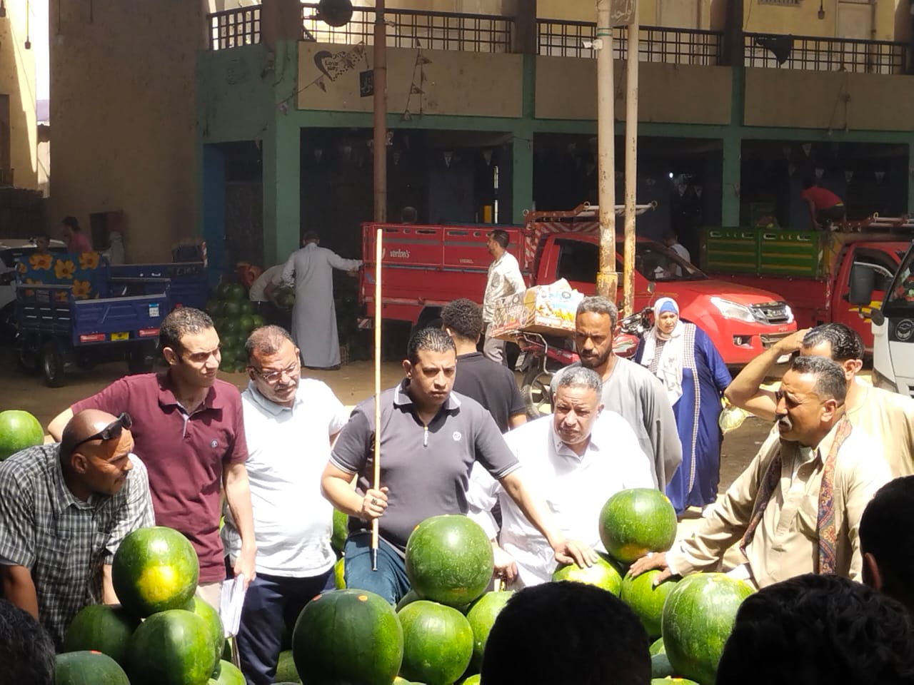 أثناء المزاد على البطيخ أثناء المزاد على البطيخ